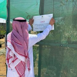 نظام نور يتيح نتائج الفصل الدراسي الثالث غدًا