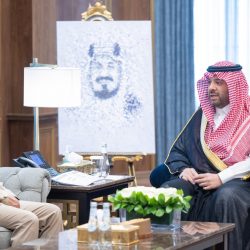 أصدر 14 قراراً.. مجلس الوزراء يوافق على تحمّل الدولة رسوم إرساليات المواشي الحية لفترة محددة