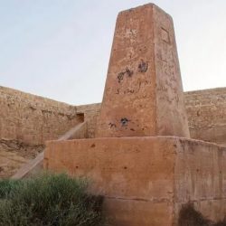 “عش بصحة” تقدّم نصائح للوقاية من مخاطر أشعة الشمس أثناء القيادة بالصيف