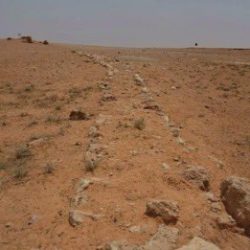 “النيابة العامة”: كلُّ مَنْ حرَّض أو اتفق أو ساعد على الاحتيال عبر حملات الحج الوهمية يُعاقَب بالسجن والغرامة