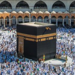وكيل الموارد البشرية بوزارة الصحة: مكافأة انتقال لموظفي الخدمة المدنية المنتقلين من الوزارة لشركة الصحة القابضة