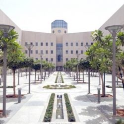 «هيئة الطرق»: 92% انخفاض وفيات حوادث التقاطعات بعد إنارتها بـ«الطاقة الشمسية»