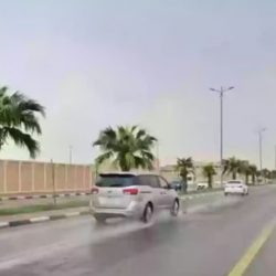 برئاسة ولي العهد.. “الوزراء” يجدد تشديد السعودية على أهمية بذل الجهود لوقف فوري لإطلاق النار في غزة
