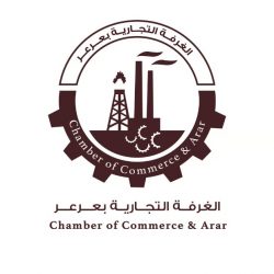 ضبط 635 مخالفاً لممارستهم نشاط نقل الركاب دون ترخيص في عدد من مطارات السعودية