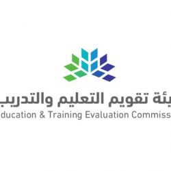 الوكيل والعقد.. هل يشمل الضمان بطاريات السيارة وإطاراتها؟ “التجارة” توضح