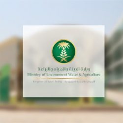 81 % من الجهات الحكومية السعودية تستفيد من تقنيات الذكاء الاصطناعي