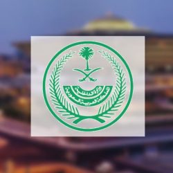 “المرور” يطرح مزاد اللوحات الإلكتروني عبر “أبشر”.. الأحد والاثنين