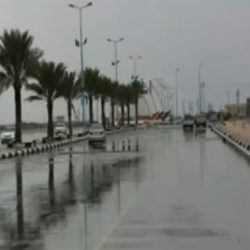 5 جناة في قبضة “رجال الأمن”.. تهريب مخدرات وسرقة مركبات واعتداء على المارة