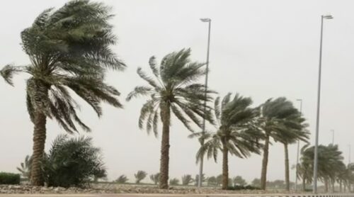 17 نصيحة من «المساحة الجيولوجية» لمواجهة مخاطر الزلازل