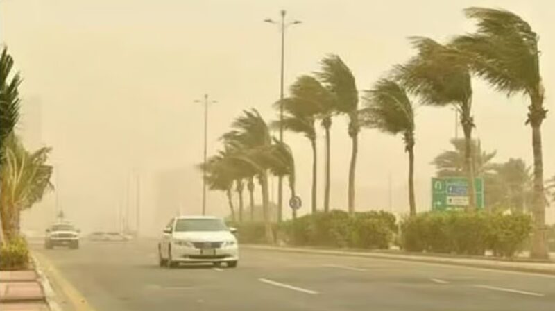 “الأرصاد”: طقس شديد البرودة مع نشاط للرياح على عدة مناطق