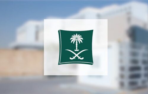 الحميض البري.. نكهة ربيعية تزيّن طبيعة الحدود الشمالية