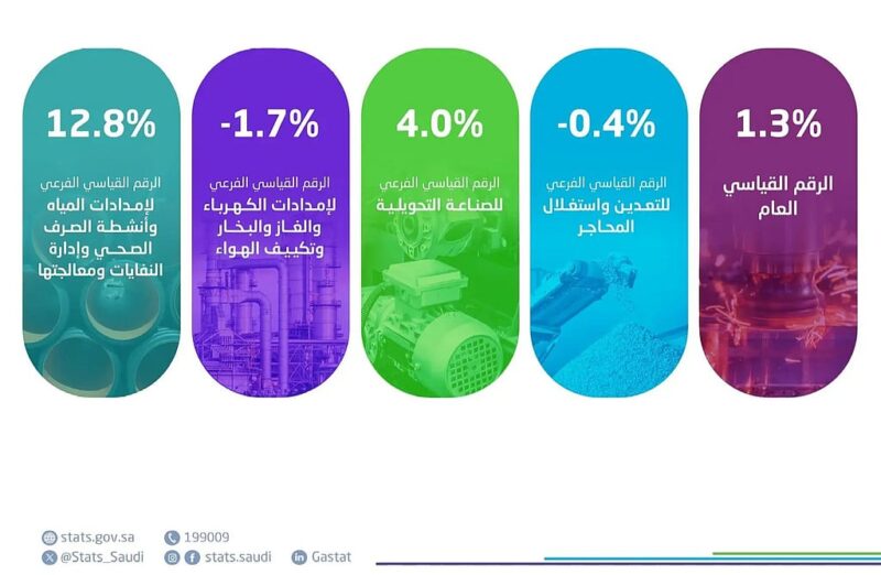 هيئة الإحصاء: ارتفاع الرقم القياسي للإنتاج الصناعي بنسبة 1.3 % خلال شهر يناير 2025