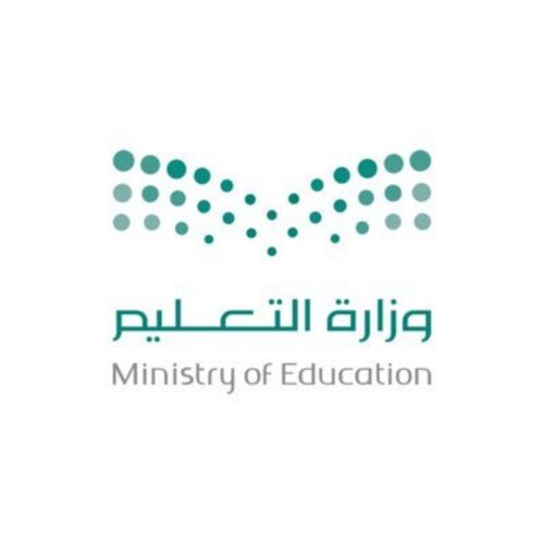من شحنات الأواني لأحشاء المهربين.. إحباط تهريب 922 كيلوغرامًا من المخدرات و20 مليون حبة محظورة في عام واحد