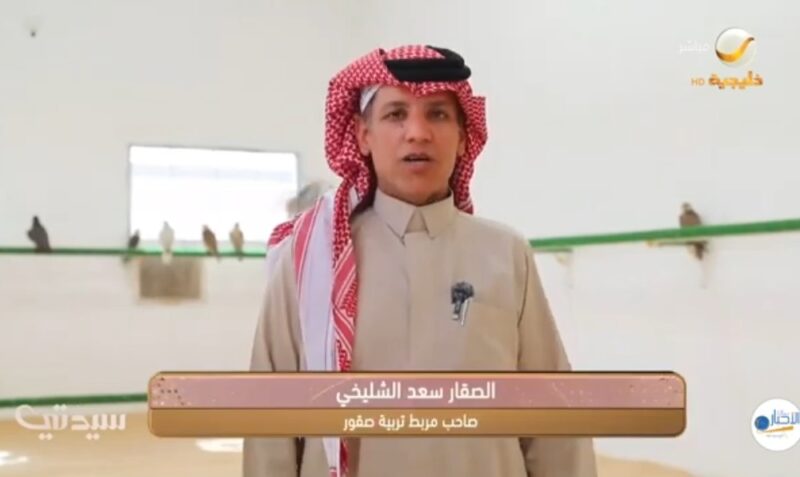 بالفيديو .. تجربة مرابط الصقور بالشمال عبر قناة روتانا