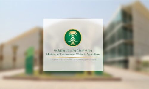 إعلان نتائج اختبار القدرة المعرفية الورقي في 30 يوليو عبر الرسائل النصية