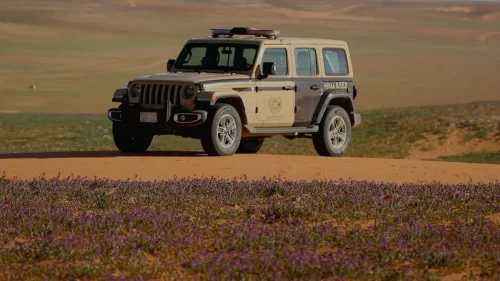 توجيه لخطباء الجوامع بكافة المناطق.. خطبة الجمعة القادمة عن التحذير من الشائعات والغيبة والنميمة