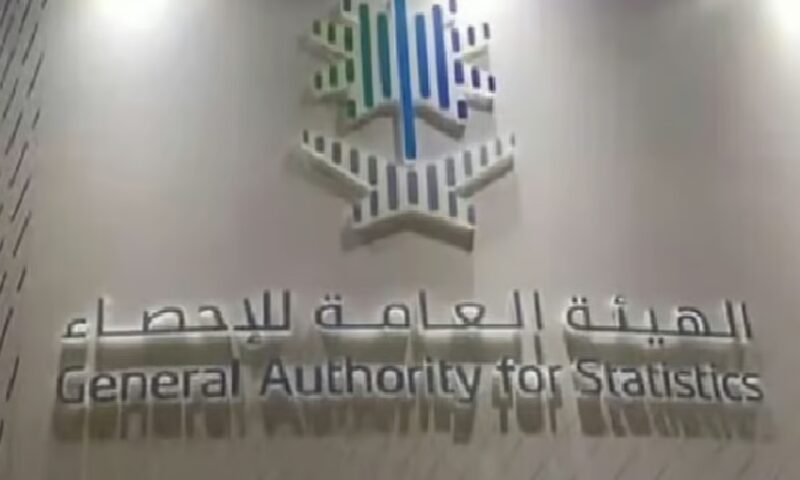 الإحصاء: 97.7% من المنشآت بالمملكة لديها إنترنت خلال 2023
