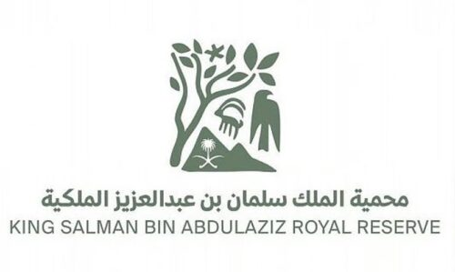 “وزارة الموارد البشرية” تودع مبالغ دعم الحقيبة المدرسية للفصل الدراسي الأول