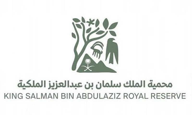 محمية الملك سلمان الملكية .. موطن بيئي مترامي الأطراف تجتمع فيه الطيور المهاجرة والمقيمة