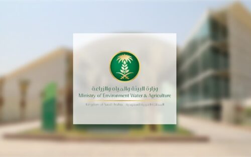 الإحصاء: 97.7% من المنشآت بالمملكة لديها إنترنت خلال 2023