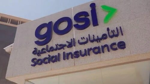 مجلس شؤون الأسرة: ساعة يومياً للأم الموظفة في الوزارات والجهات الحكومية والخاصة لإرضاع مولودها