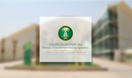 «المرور»: ترك الأطفال في المركبة دون مرافق مخالفة مرورية