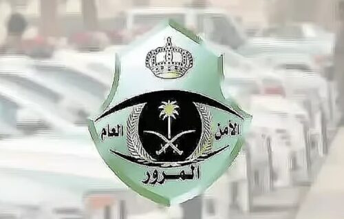 بالفيديو والصور.. مركز الوعد النموذجي للتدريب بطريف يحتفي باليوم الوطني الـ95 بدورة نوعية في “إدارة المنظمات الرائدة”