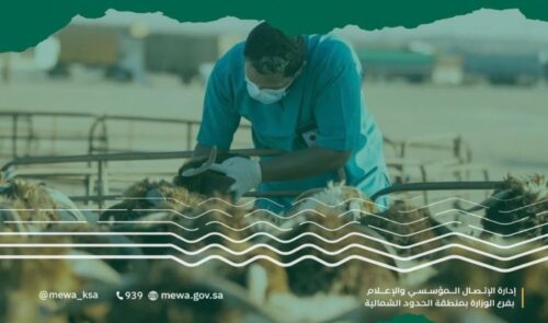 بدء تطبيق نظام الطرق المدفوعة في الأردن.. طريق “الحرانة – العمري” أولى النماذج بدء تطبيق نظام الطرق المدفوعة في الأردن.. طريق “الحرانة – العمري” أولى النماذج