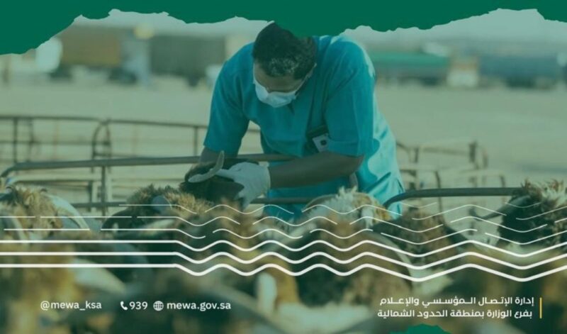 الزراعة بطريف تنظم ورشة عمل حول أمراض الشتاء للماشية وطرق الوقاية منها