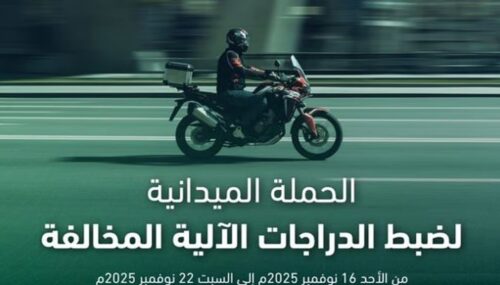 «الأمن البيئي»: غرامة قطع أو نقل الأشجار دون ترخيص تصل 20,000 ريال لكل شجرة