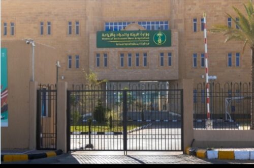 بالفيديو .. أسمنت الجوف توقع عقدا لتصدير الأسمنت إلى سوريا