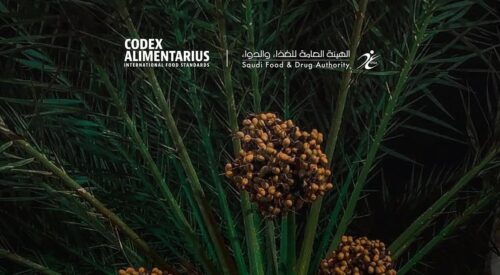 ابتداء من الجمعة.. أمطار متوسطة إلى غزيرة على معظم مناطق المملكة