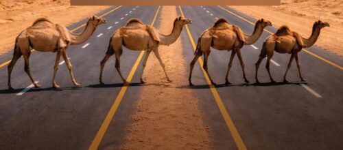 الصناعة والثروة المعدنية: 24 شركة وتحالفًا يفوزون برخص كشف في 172 موقعًا تعدينيًا بالمملكة