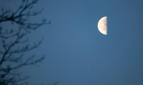 الأرصاد: ضباب وأمطار رعدية مصحوبة برياح نشطة على عدة مناطق