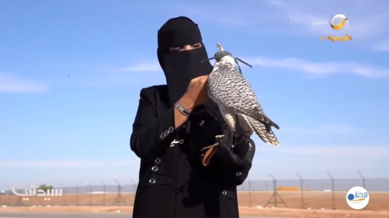 بالفيديو.. “أمينة العنزي” شغف الصقور يتحول إلى قصة نجاح مُلهمة