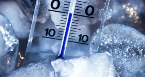 “عنب الذئب” يزهر في الحدود الشمالية ضمن الغطاء النباتي الموسمي