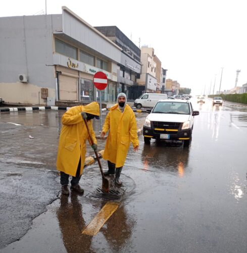 “البيئة” تشدد على حماية الرقعة الخضراء ومنع العبور العشوائي للمناطق البرية والمحمية