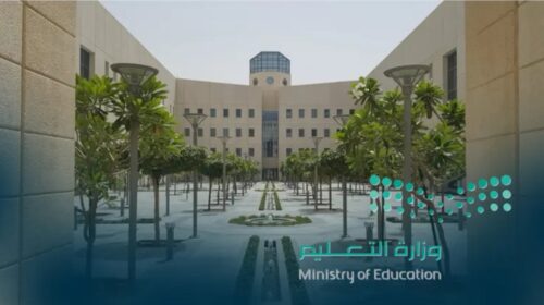 المنافذ الجمركية تضبط 1202 قضية ممنوعات خلال أسبوع واحد