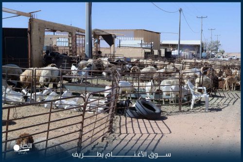 بالصور.. بلدية طريف تكثّف الرقابة الصحية والتوعوية على المنشآت الغذائية خلال موسم عيد الأضحى المبارك