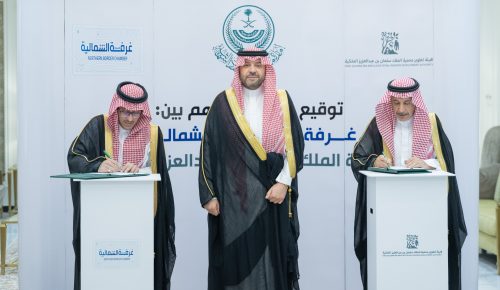 نائب أمير الحدود الشمالية يستقبل أمين المنطقة المكلّف حديثًا