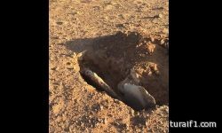 الرئيس المصري عبد الفتاح السيسي يزور السعودية الأحد