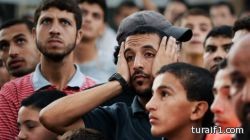 أميركي “يجند” هرة لاختراق شبكات واي-فاي