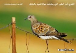 الداخلية والعمل تشكلان فريقًا لمعاجلة قضايا مراكز إيواء الخادمات