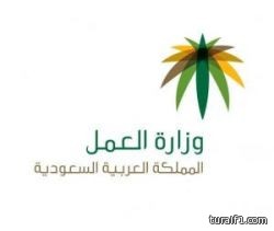 الداخلية والعمل تشكلان فريقًا لمعاجلة قضايا مراكز إيواء الخادمات