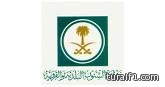 الشؤون القروية تُعد اللائحة التنفيذية لنظام إجراءات التراخيص البلدية