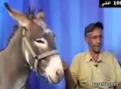 قناة أردنية تستضيف حماراً في برنامج سياسي