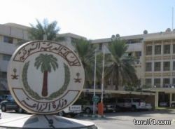 الزراعة تعترف: فشلنا في مواجهة الاحتطاب