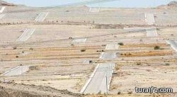 إمهال أصحاب الأراضي البيضاء 6 أشهر لتطويرها في حال إقرار الرسوم عليها