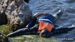 مجلس الافتاء الفلسطيني بعد كارثة غرق مئات الغزاويين: الهجرة من أرض الرباط جريمة نكراء
