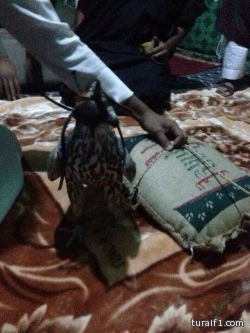 طرح فرخ بمنطقة الأبيض شمال شركة معادن
